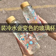 批发变色玻璃乐品乐茶550ML大容量高硼硅温变玻璃冷泡杯便携新款