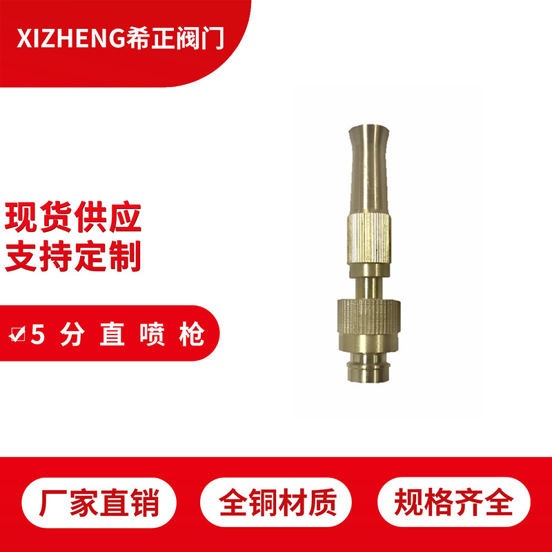 网红洗车水枪直喷枪4分5分6分软管接头双用快速花洒高压便携