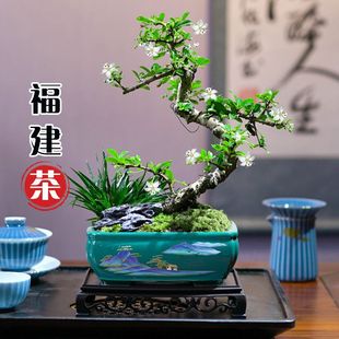 ������С�~���������̴����ľ���ܾGֲ�辰���ԃ����՚�����ѩ