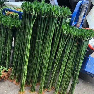 ˮ���������F���_�\��͏d�G���҃Ȕ[�Ń����՚��k�������Bֱ��