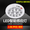 led Sound and light control radar human body Induction Ceiling lamp fire control Meet an emergency stairs Aisle Corridor intelligence Induction wholesale