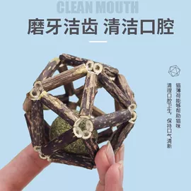 猫猫玩具;宠物梳子;猫猫零食