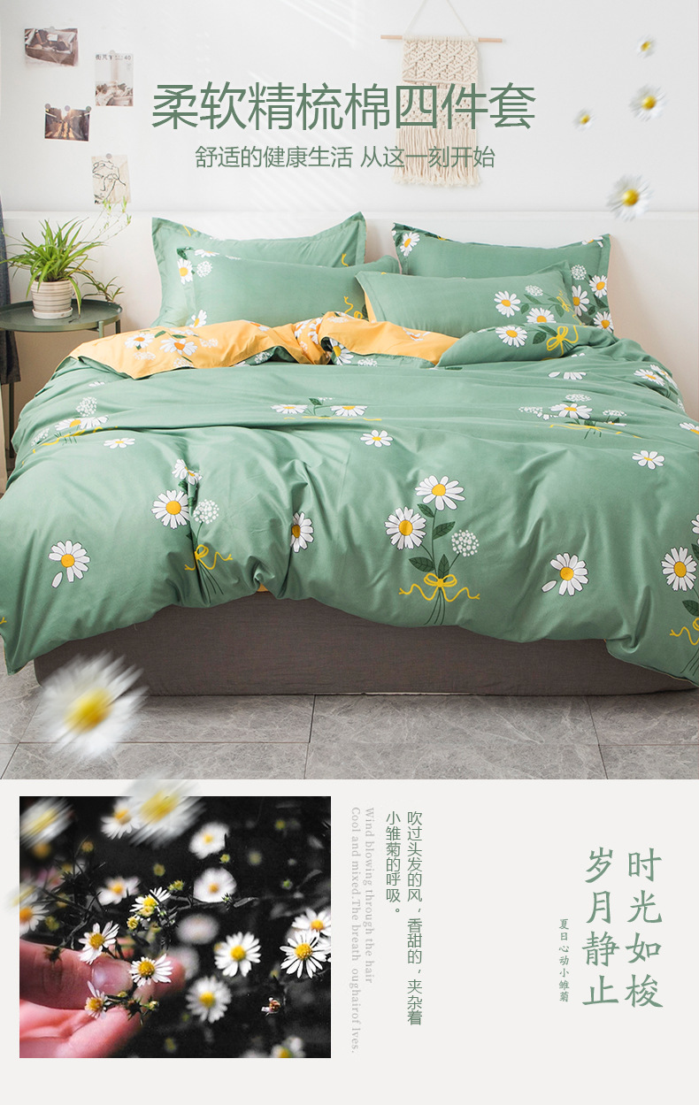 雏菊之语 (2).jpg