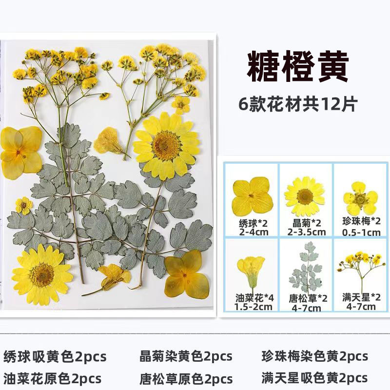 干花diy材料包永生花压花片押花草手工滴胶书签真花植物树叶标本|undefined