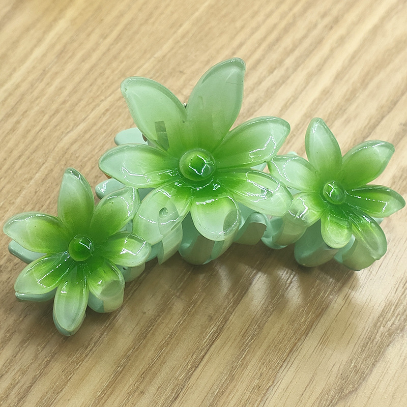 国境を越えたアマゾンの卵の花がグラデーションの花のキャンディー色の紫荊花の後頭部をつかんでサメの花を挟んで髪を伸ばします。|undefined