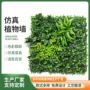 仿真墙面带齿植物绿植
