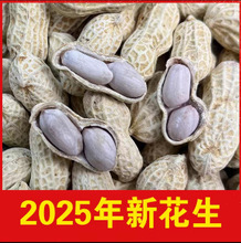 25����ˮ��������������������ζ�����}�̕��ˮ���̸ɻ���150g