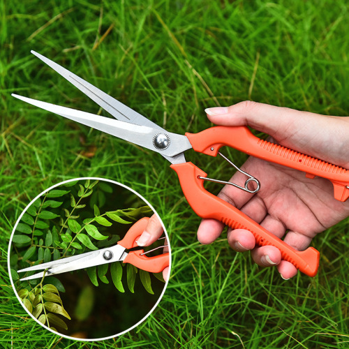 Garden tools stainless steel pruning scissors, flower bonsai grafting scissors, garden scissors, fruit picking scissors