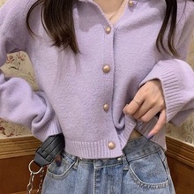 秋季2025新款温柔风修身短款紫色气质外搭长袖针织软妹毛衣女学生