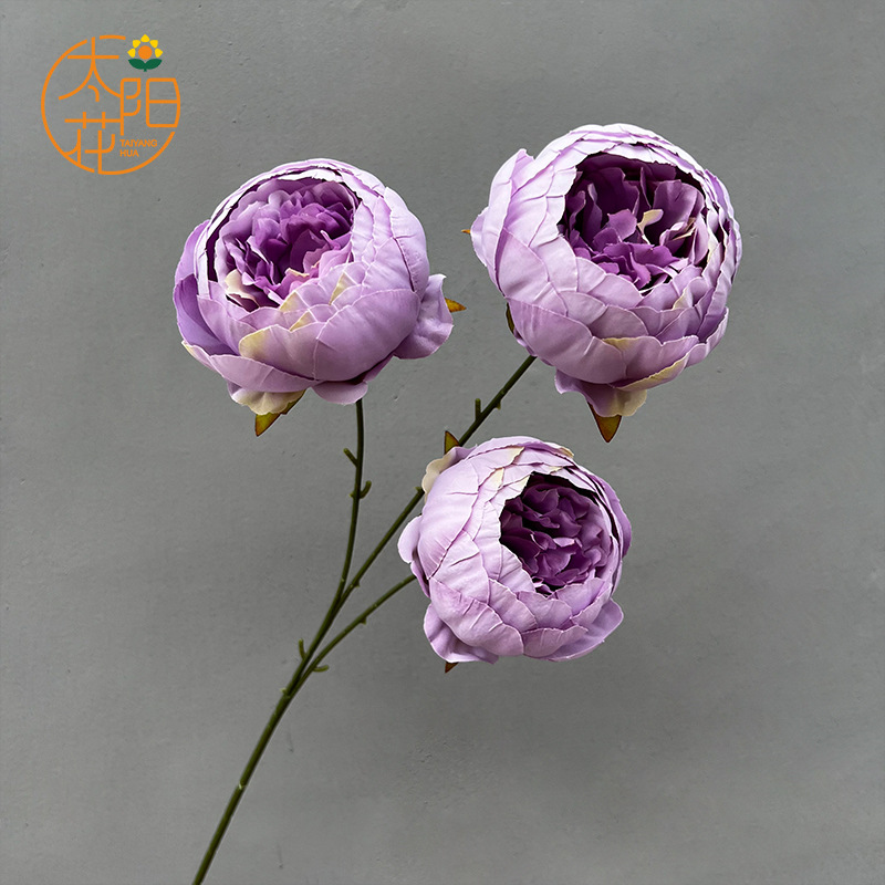 코어 스펀 모란 3개