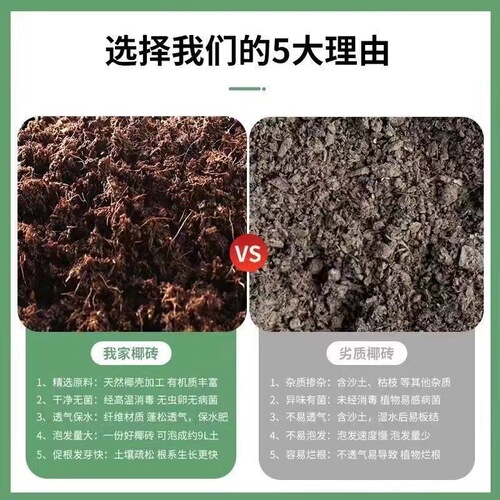 Bulk supply coconut brick organic nutrient soil for growing flowers vegetables and succulents compressed coconut powder brick coconut coir cultivation medium