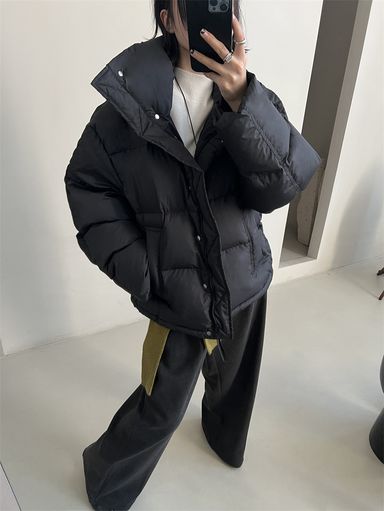 2024-11-26 150208.jpg