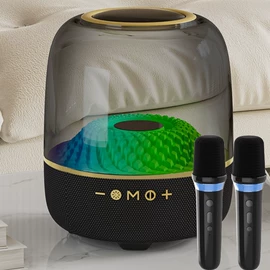 蓝牙音箱;蓝牙耳机;智能眼镜