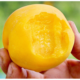 �S�Ҙ��m�Ҙ�����Ϸ������Nֲ�޽������Ҙ����ˮ�����箔��Y��