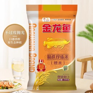 �����~���x���������׈A����10����b��5KG����������ô����