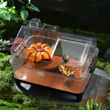 ������B�������،m�߽���֩��΁ţ��������м��x���x�e���^�p��