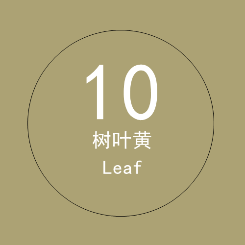 10 leaves yellow 2.7× 5m