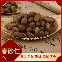 各规格砂仁 春砂仁 砂仁米 春砂仁 饱满大粒阳春500克批发