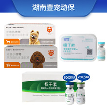 Ԫ������Ȯ��Ȯ��С�ο����ՙ����������Ȯ���ἚС؈������ᘄ�