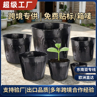 �I�B�����؏����籭һ���Դ����ɫ�I�B�����������������羳
