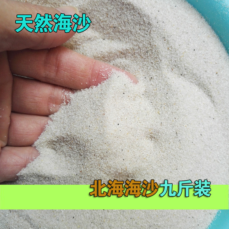 北海天然海沙细沙 沙滩沙游乐场沙池造景沙过滤水砂 幼儿园儿童沙