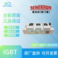 SKM195GAL062D SKM195GAL123D SKM195GAL124DTIGBTģKԃr