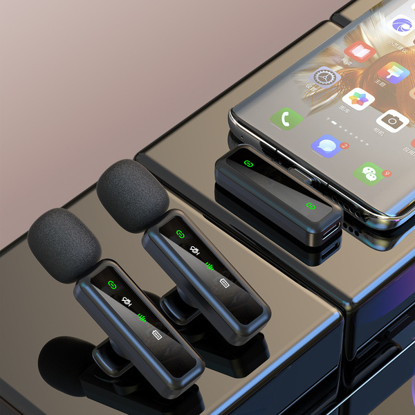 Wireless travel microphone