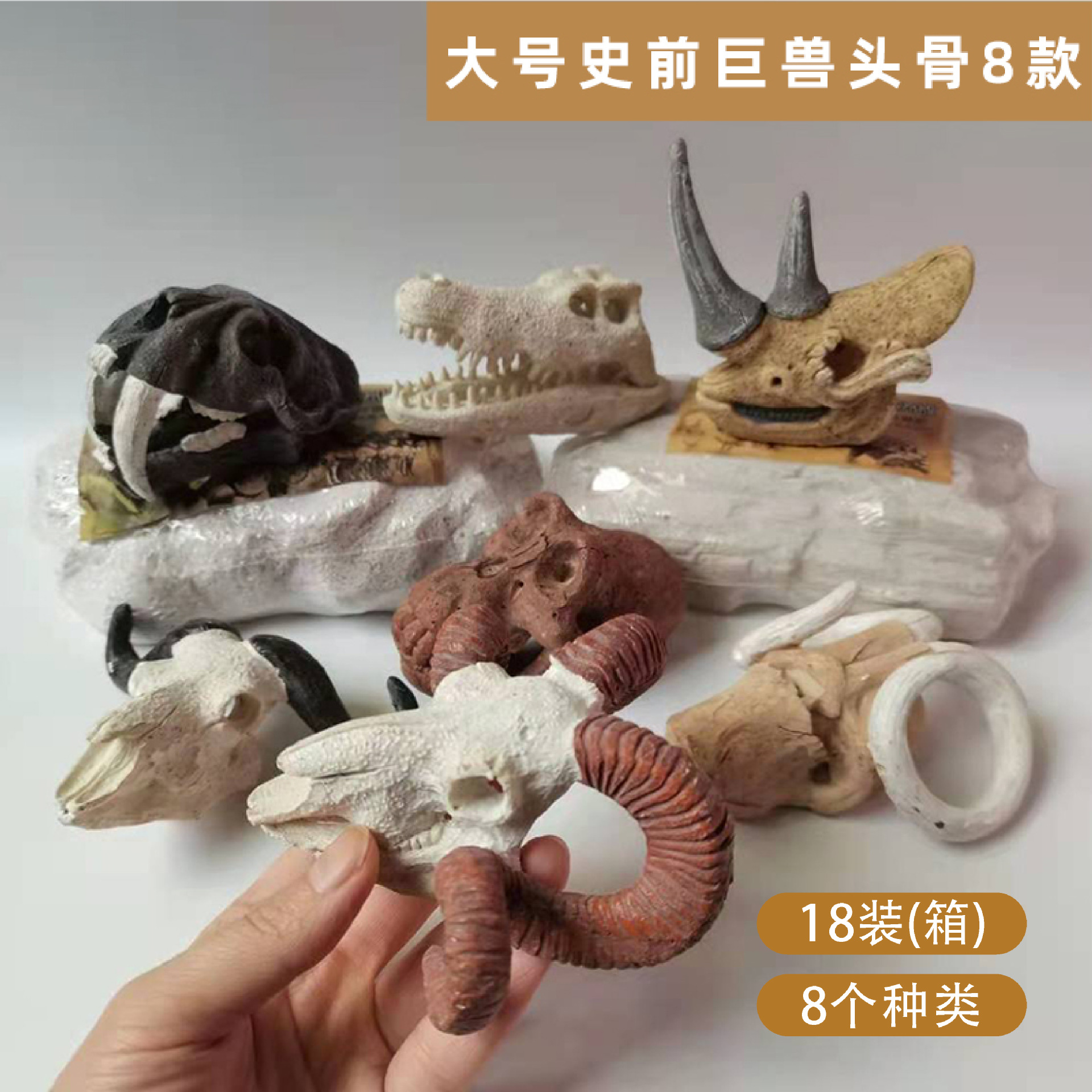 P107-18-Full 박스 라이브 에디션 대형 해골