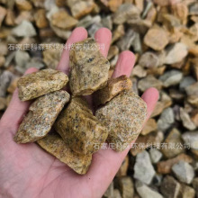 柏坡黄毛石碎石黄锈石黄金麻砾石黄碎石园林铺装花园造景黄色石子