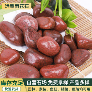 �tɫ�Z��ʯ �S�����lͥԺ���^�@���b����껨ʯˮ�؉|��ʯ�^