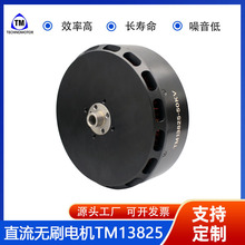 Technomotor 13825-50KV50KG�������˻��������Ч�ʡ��͸�ʴ