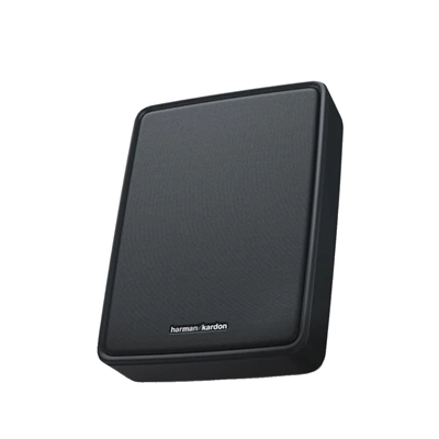 and Genuine, Car speaker/subwoofer