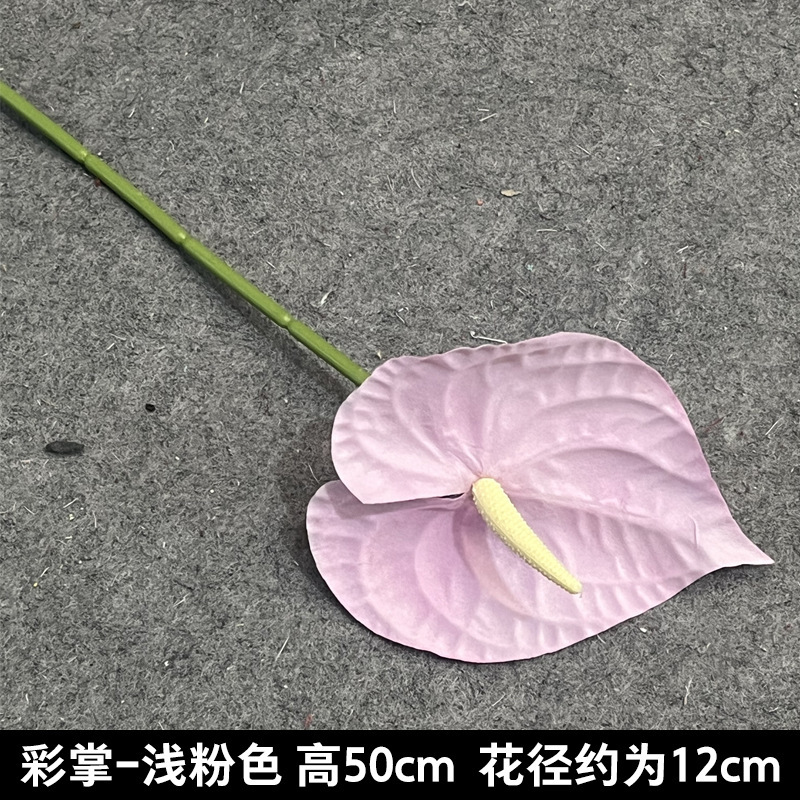 Color palm (flannel)