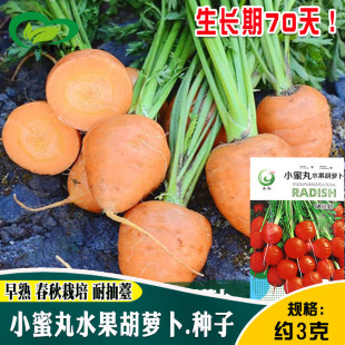 Сˮ}N rˈ@ͥԺ߲ˌWˮ}