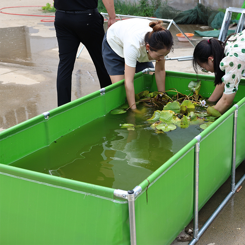 帆布养鱼水池加厚游泳池水箱刀刮布防水大型养殖水箱带支架蓄水池