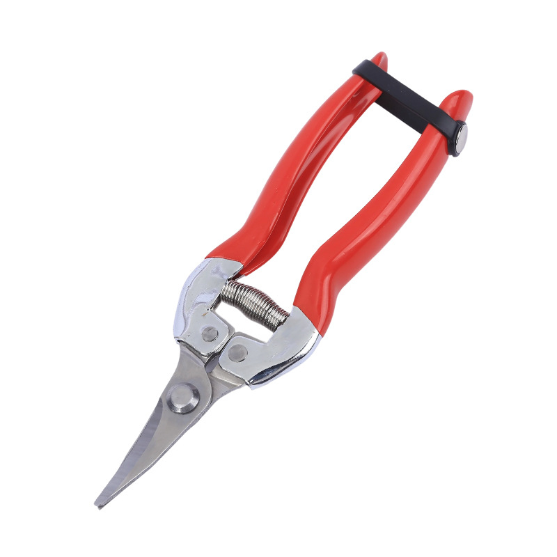 Fábrica de tijeras de ramas de acero inoxidable en stock huerto recoger tijeras de ramas de árboles frutales herramientas de bonsai cortar verduras y frutas tijeras