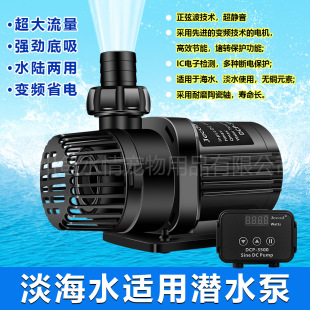 ���l�݌������~��ˮ��С�͝O�����ˮ�庣�׌�����Ʒ�o����ˮ��
