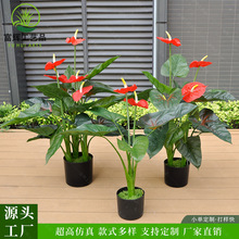 仿真植物红掌盆栽跨境专供高端塑胶假花门店橱窗造景装饰火焰掌
