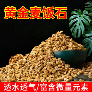 �S��ܛ���ʯ�w������Gֲ����������bNֲ�������ԾGֲ�I�B��