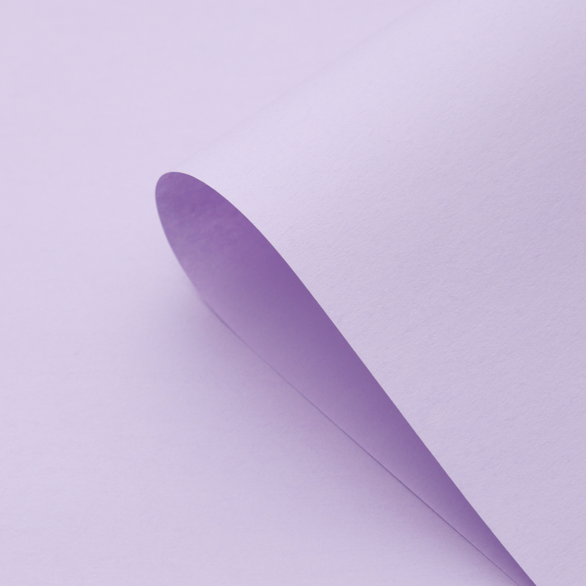 Embalaje de papel Fenghua floral material de envoltura de flores impermeable papel de envoltura de flores de color sólido papel de envoltura de alta calidad al por mayor