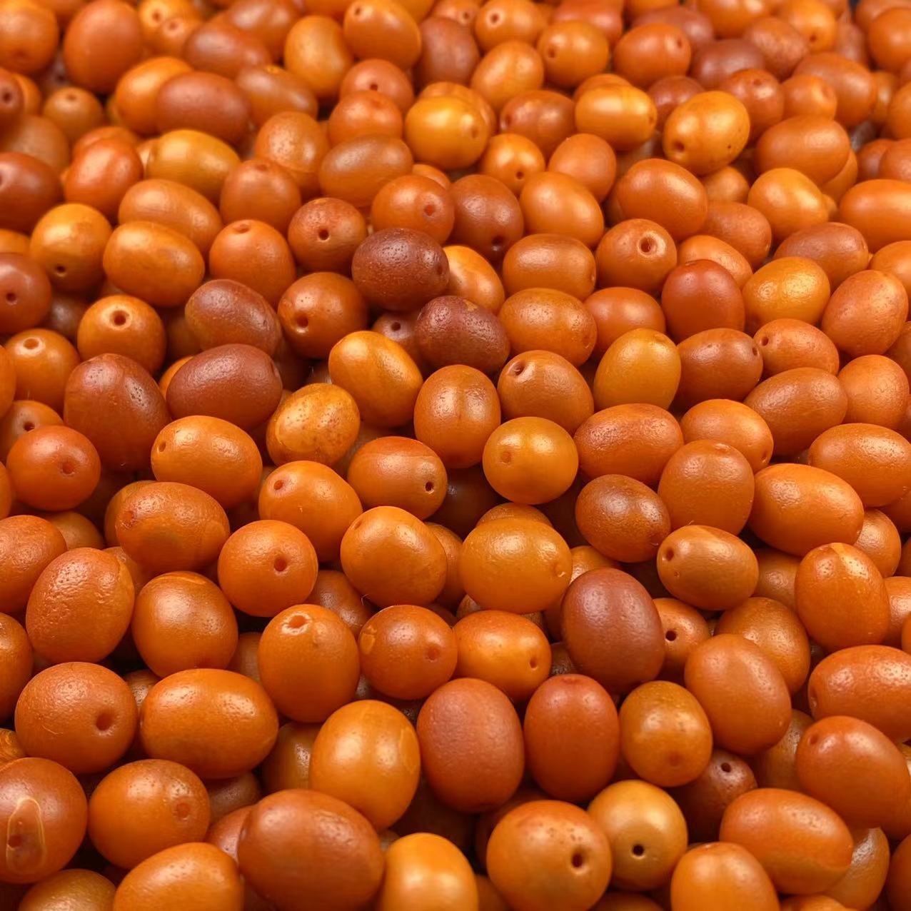 微信图片_202404252342361