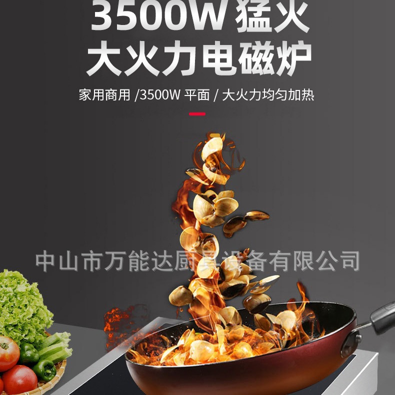 ���õ��¯ƽ��3500W���õ����̨��ҵ���˷���͹�ʳ�þƵ����