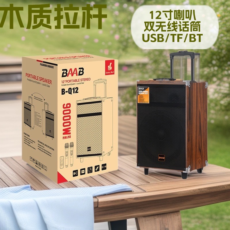 B-Q12 트롤리 블루투스 스피커 목재 12inch 스피커 무선 마이크 휴대용 스퀘어 댄스 카드 오디오