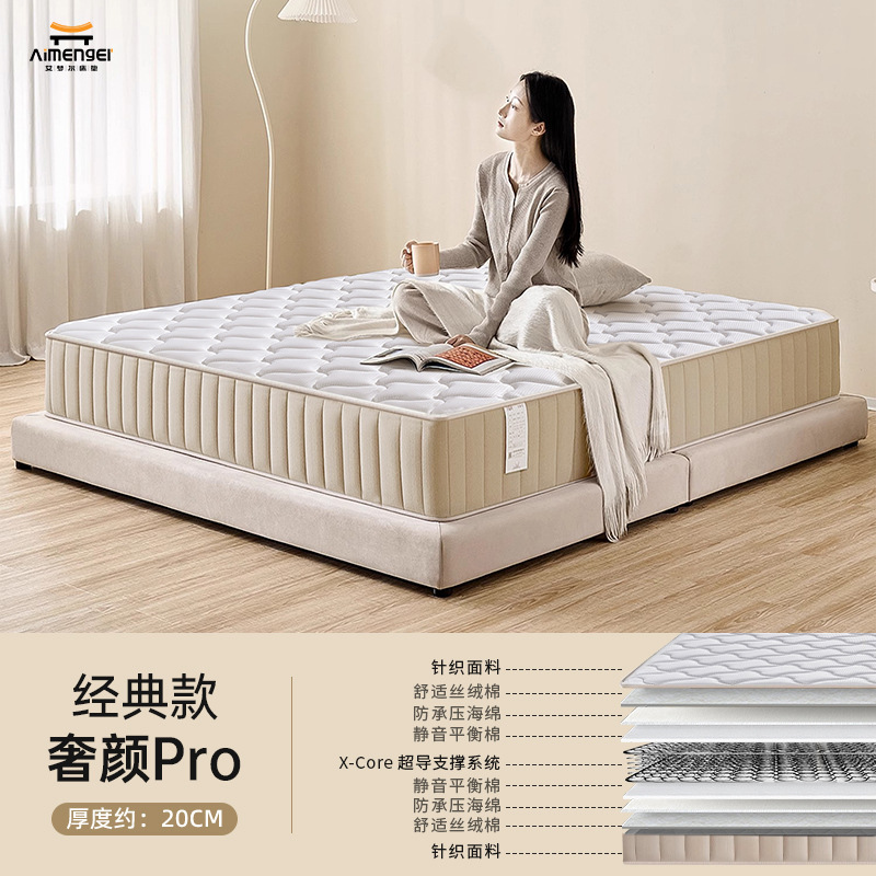 Luxurious and economical room model [20cm]