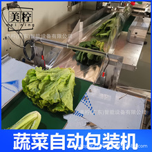 全自动蔬菜包装机 袋装水果青菜打孔自动套袋机 玉米枕式包装机