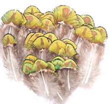 ������ȸ�Bֳ�����Ԯa���NDIY�c����ë��ë�Ʒ����o�Ͽ�ȸ��Ƭ