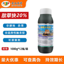 �G�����r�� 20%���ݿ�Ǹ����s���rș���x�����|�����r�ó��݄�