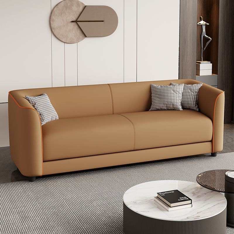 Cat Claw Leather Simple Light House Small Apartment Living Room Apartment Rental House Barber Shop Convenient Sofa for Two or Three People