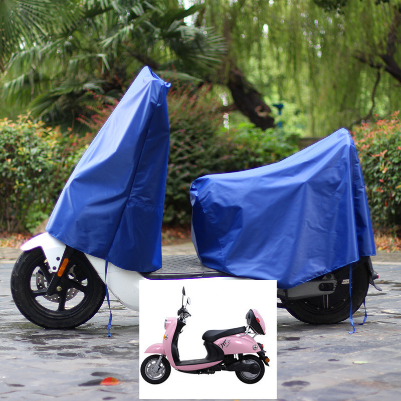 파란색 대형 앞 + L 뒷면