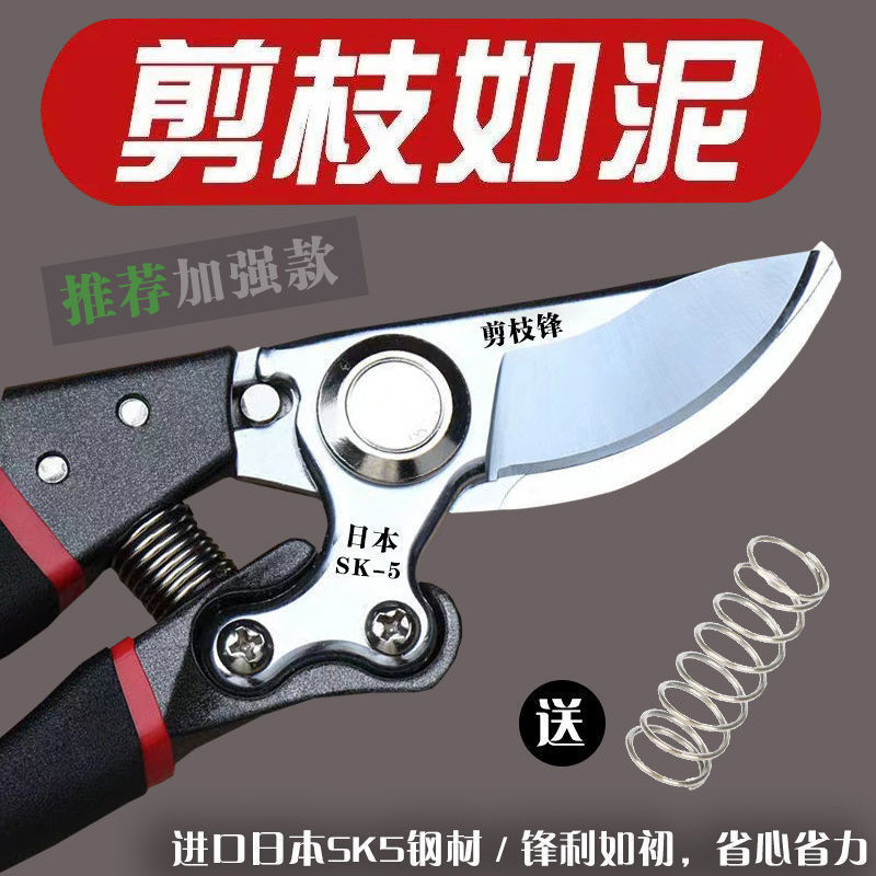原装日本VVT进口SK5强力园艺修枝剪新款园林家用省力